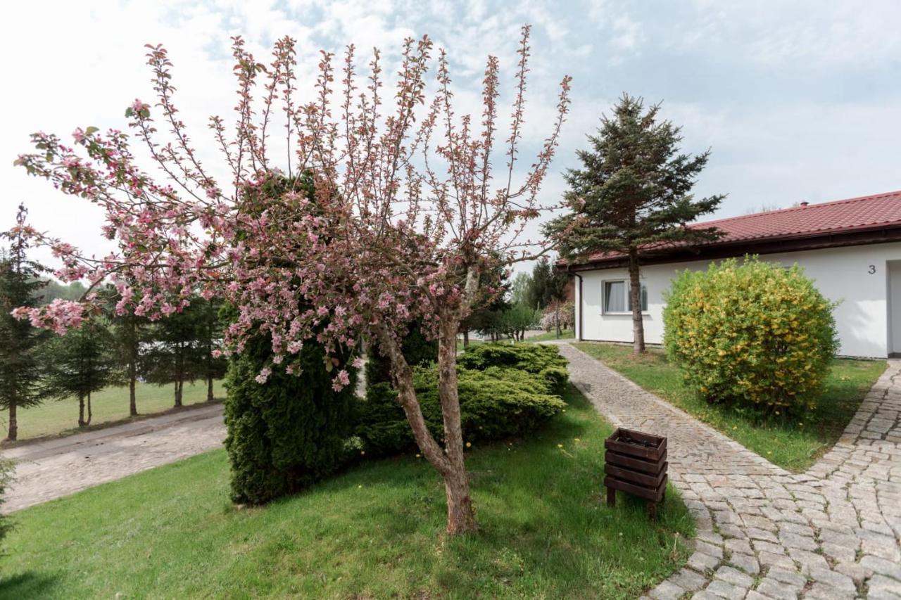 Petrico Camp Resort Krzywoploty  Exterior foto